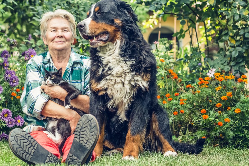 Pet planning Florida